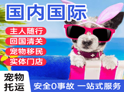 吉安井冈山机场物流国际宠物托运 【国